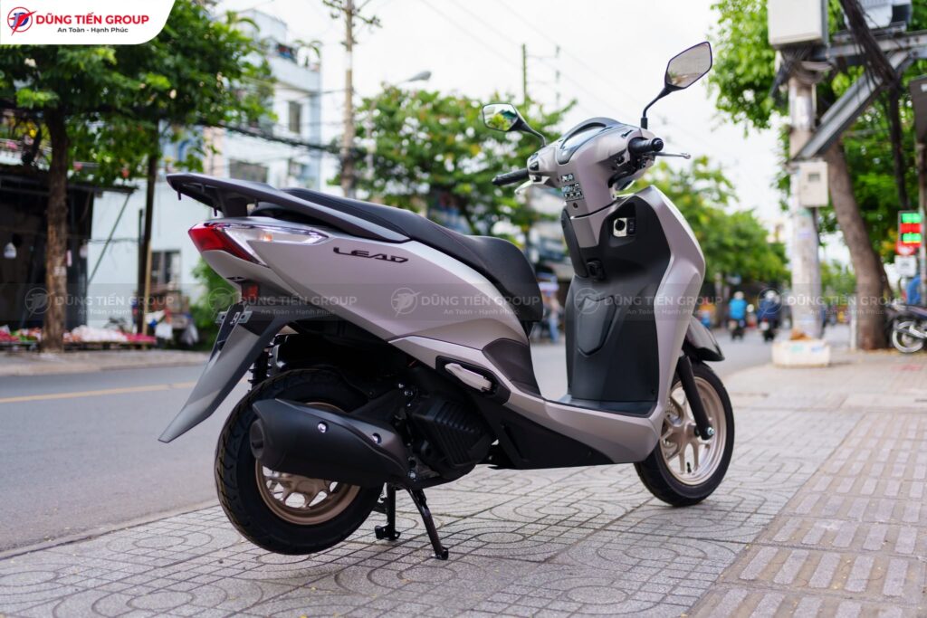Ngoại hình thanh lịch, tinh tế